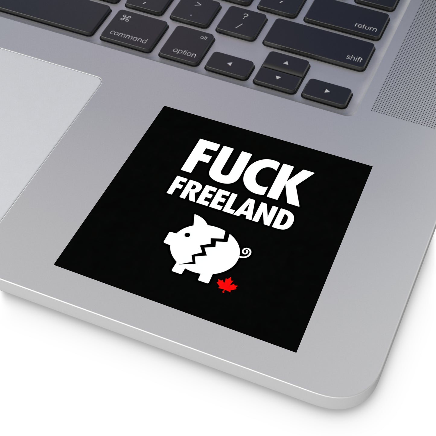 Fuck Freeland Sticker – Broken Piggy Bank Edition
