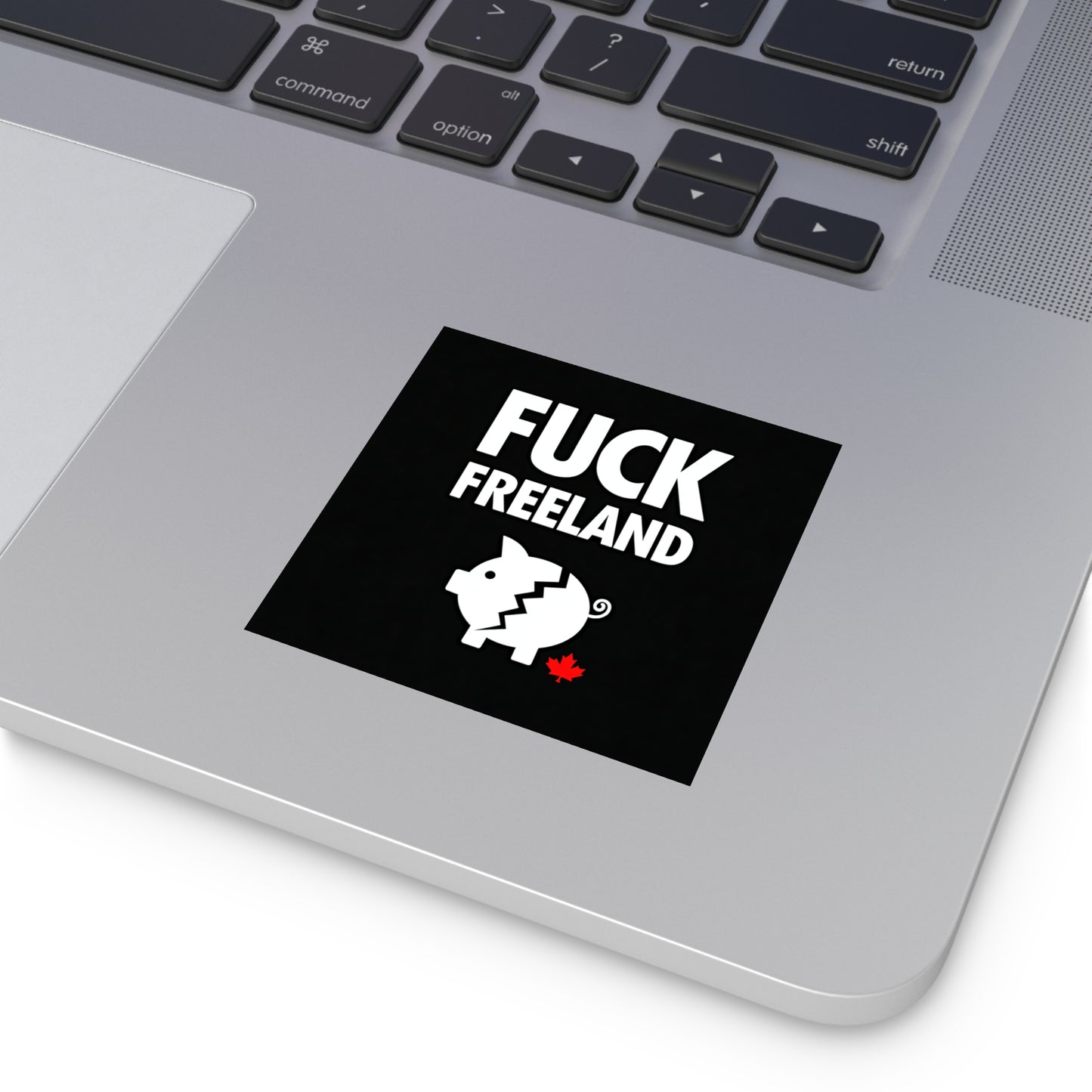 Fuck Freeland Sticker – Broken Piggy Bank Edition